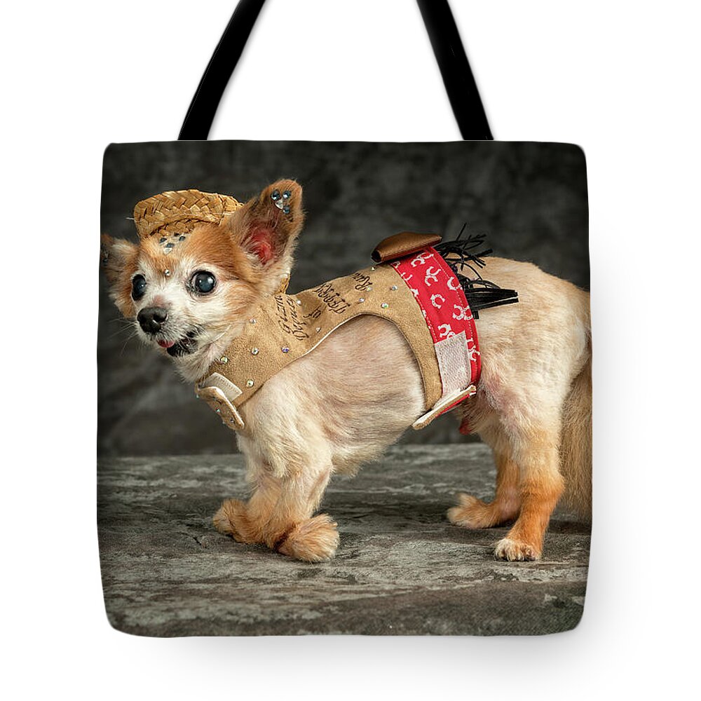 Gizmo Tote Bag featuring the photograph 20170804_ceh1151 by Christopher Holmes