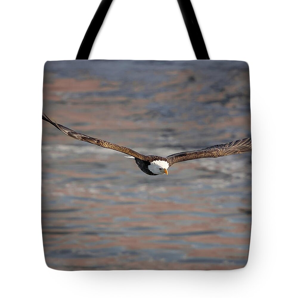 Illinois Tote Bag featuring the photograph Bald Eagle #21 by Peter Lakomy