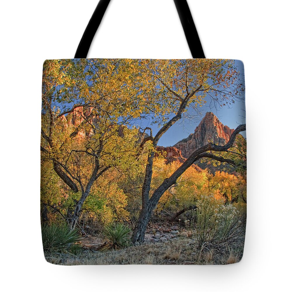 Zion National Park Tote Bag featuring the photograph Zion National Park #21 by Douglas Pulsipher