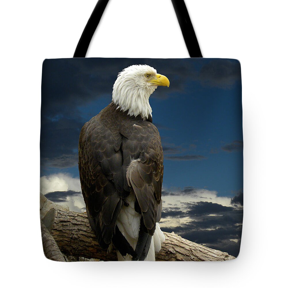 Eagle Tote Bag featuring the photograph 2103 by Peter Holme III