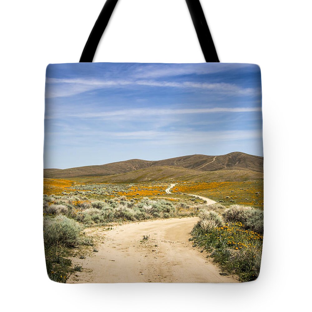 Antelope Valley Tote Bag featuring the photograph Antelope Valley Poppy Reserve #22 by Beth Taylor