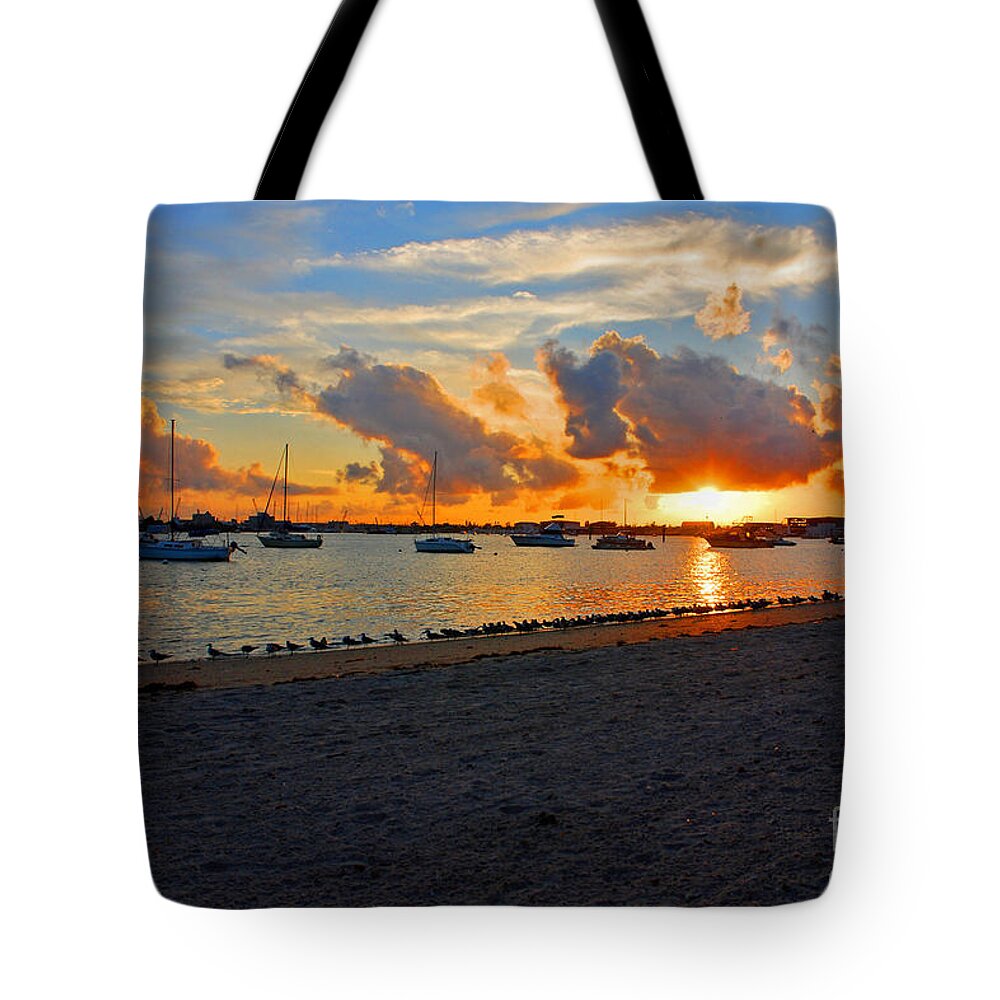 Phil Foster Park Tote Bag featuring the photograph 22- Sunset at Seagull Beach by Joseph Keane