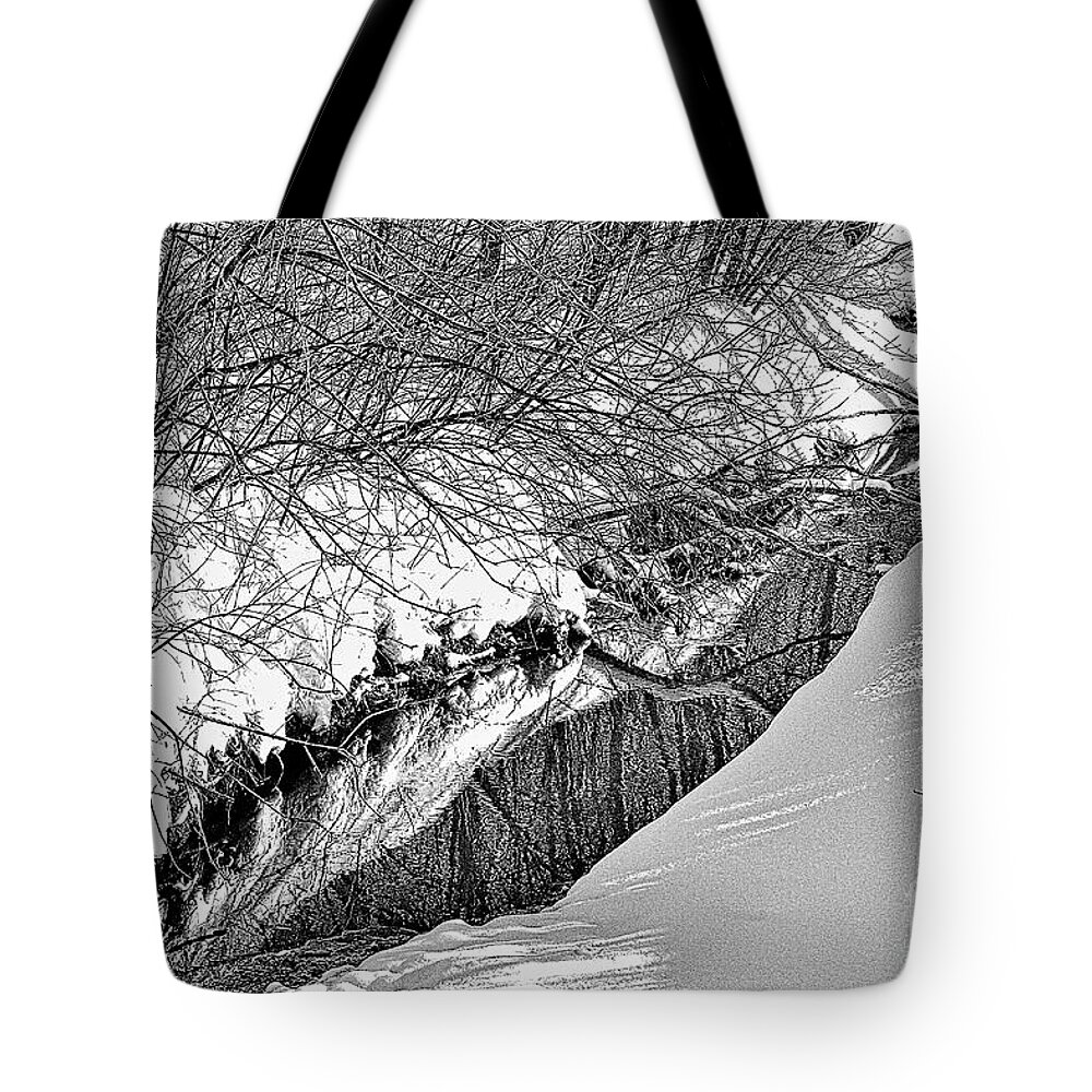  Tote Bag featuring the photograph 2236 1sh by Burney Lieberman