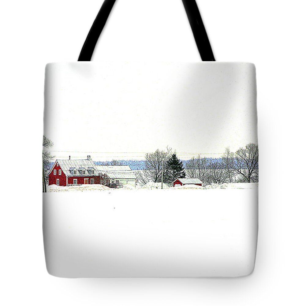  Tote Bag featuring the photograph 2758sh by Burney Lieberman