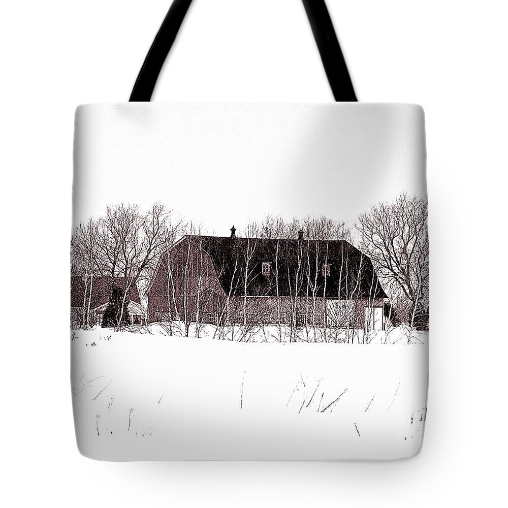  Tote Bag featuring the photograph 2760sh by Burney Lieberman