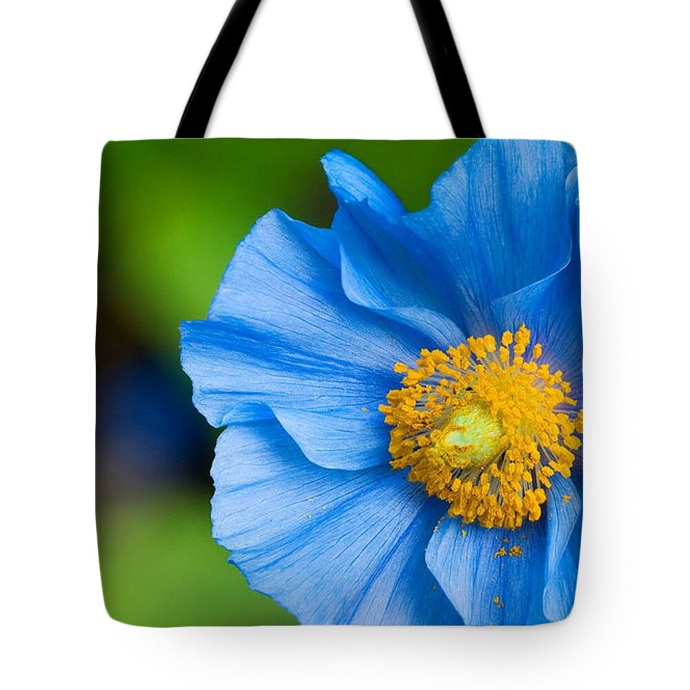 Flower Tote Bag featuring the digital art Flower #29 by Maye Loeser