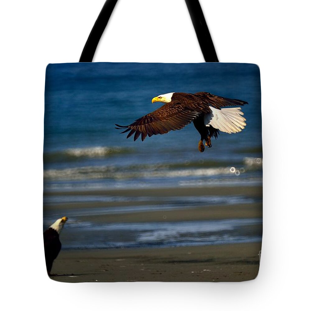 Bald Eagle Tote Bag featuring the photograph Bald Eagle #3 by Marc Bittan