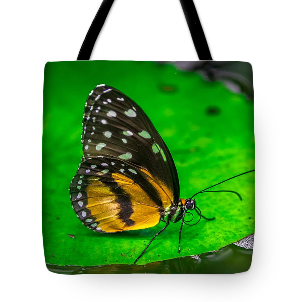 Butterfly Tote Bag featuring the photograph Butterfly #3 by Jerry Cahill