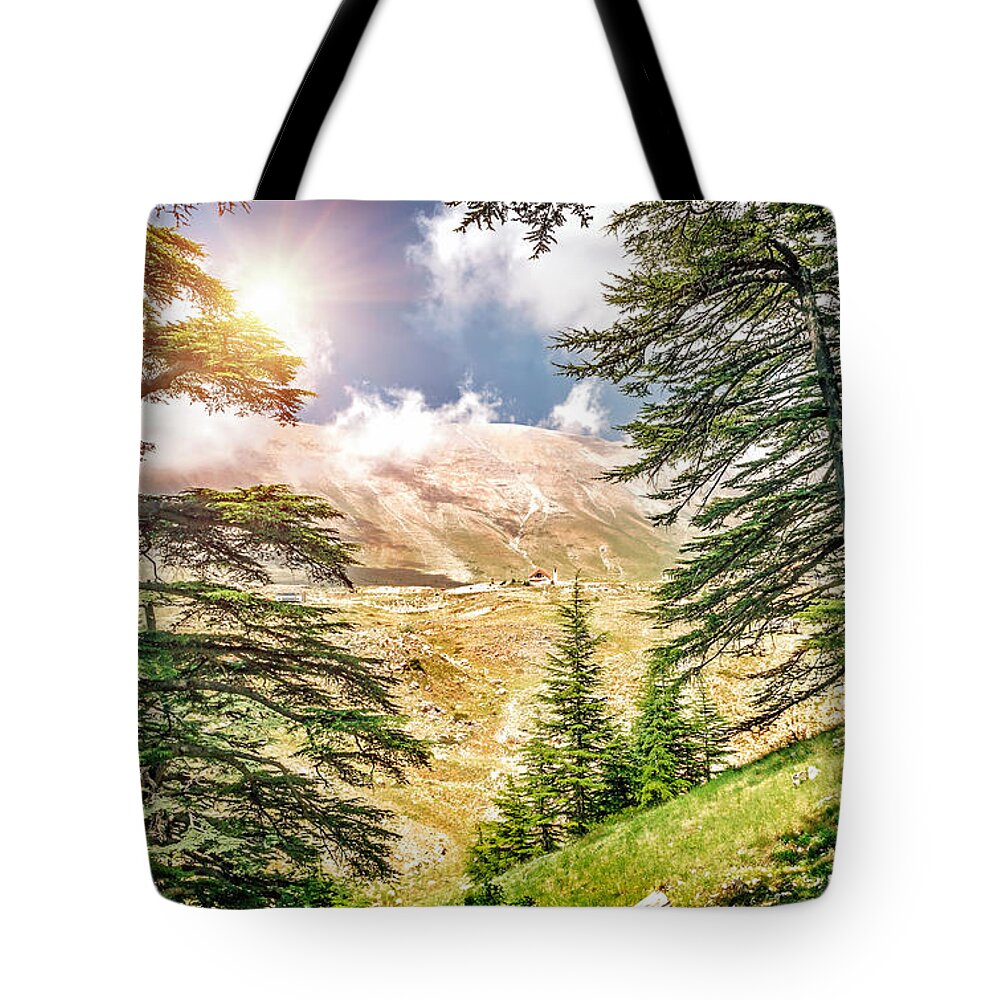Ceders Libani Tote Bag featuring the photograph Cedars of Lebanon by Anna Om