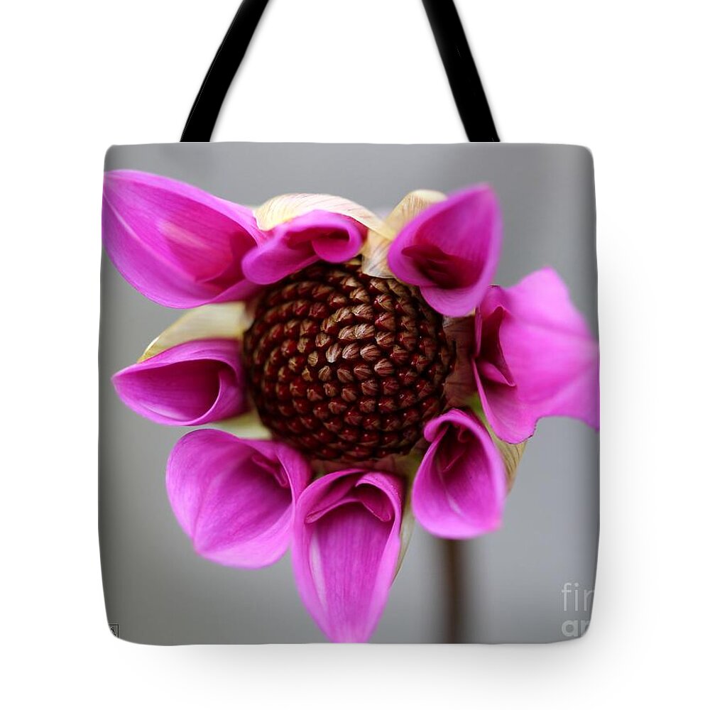 Mccombie Tote Bag featuring the photograph Dahlia named Teesbrooke Redeye #5 by J McCombie