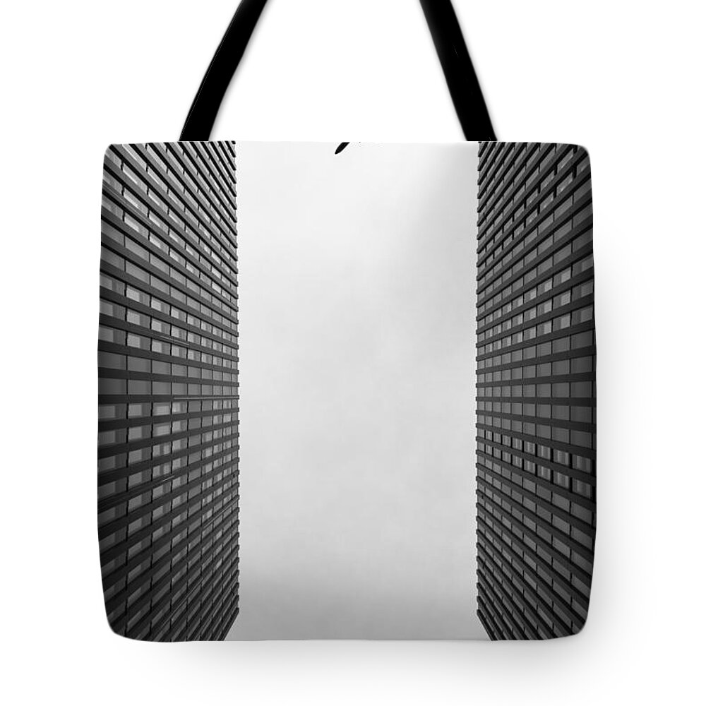 Fly Tote Bag featuring the photograph Enjoyable flight #3 by Jan Hochstein
