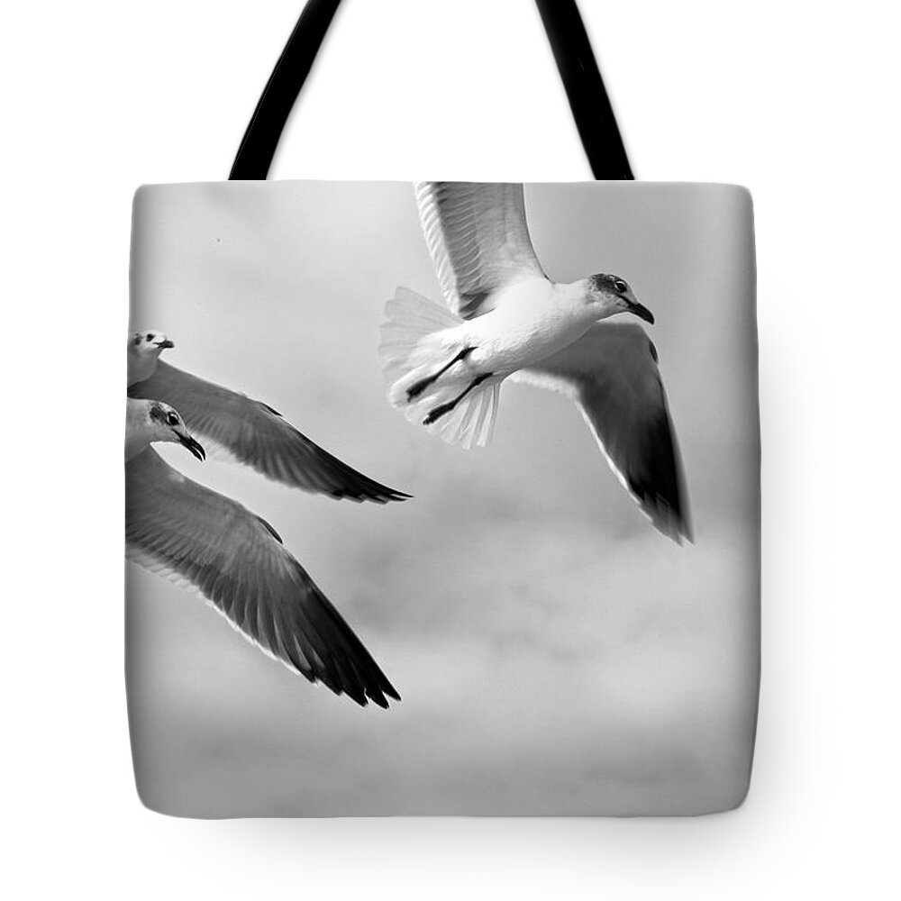 Bird Tote Bag featuring the photograph 3 Gulls by Robert Och