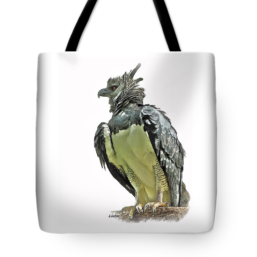 Harpy Eagle Tote Bag featuring the digital art Harpy Eagle by Larry Linton