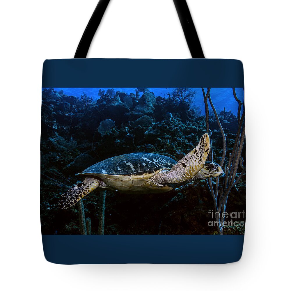 Hawksbill Tote Bag featuring the photograph Hawksbill Turtle #3 by JT Lewis