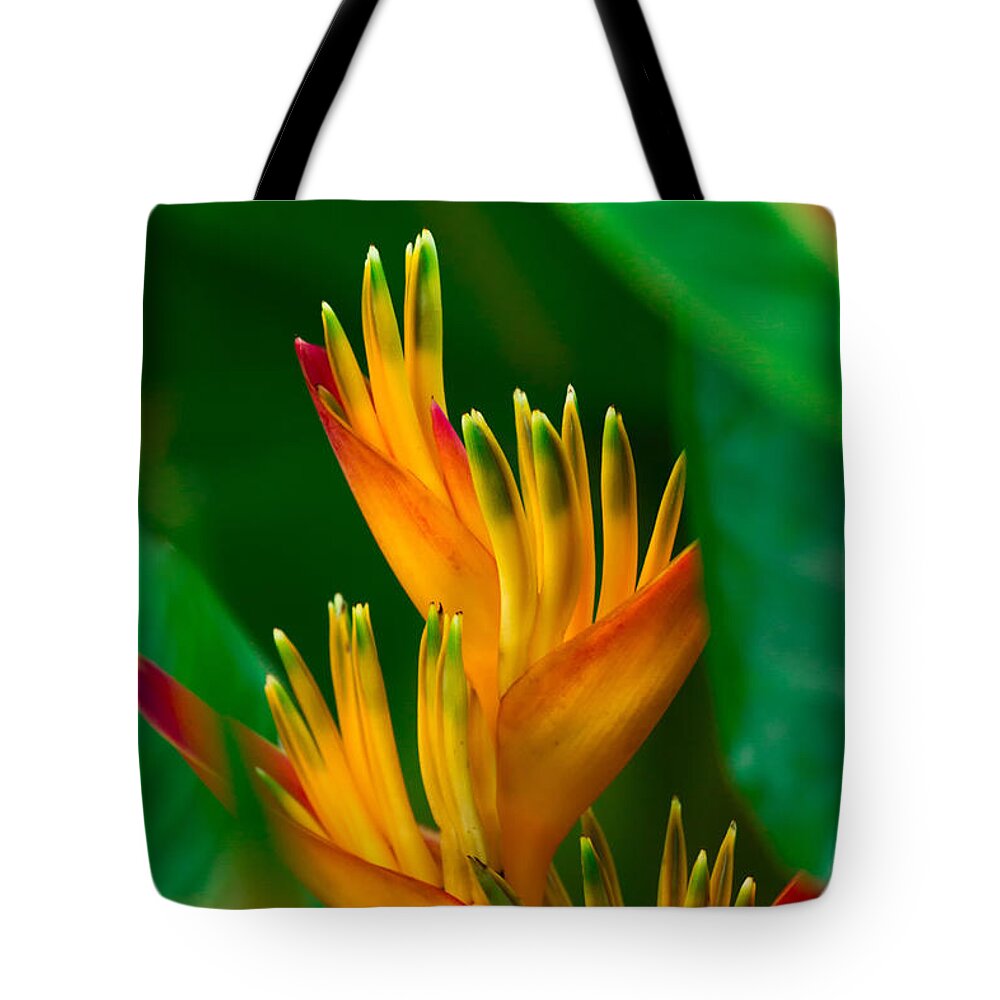 Tropical Flowers Tote Bag featuring the photograph Heliconia #3 by Roger Mullenhour