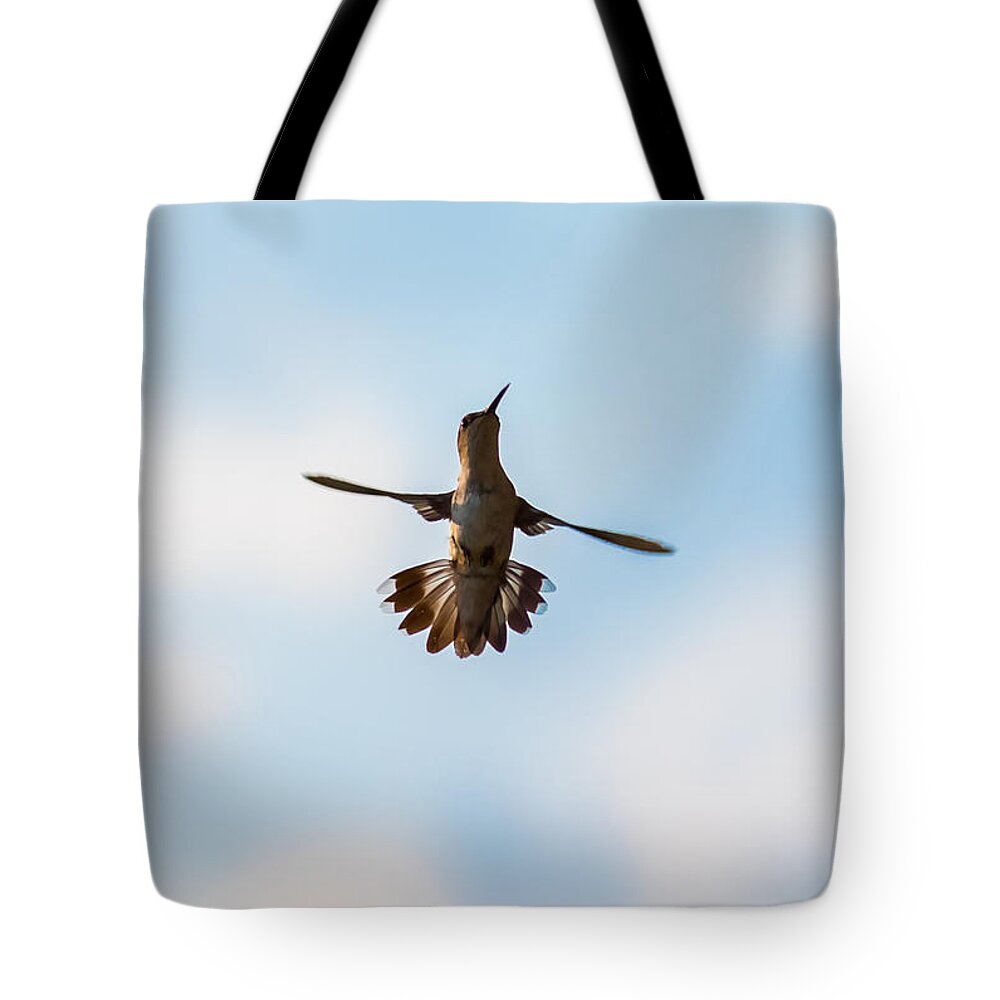 Hummingbird Tote Bag featuring the photograph Hummingbird by Holden The Moment