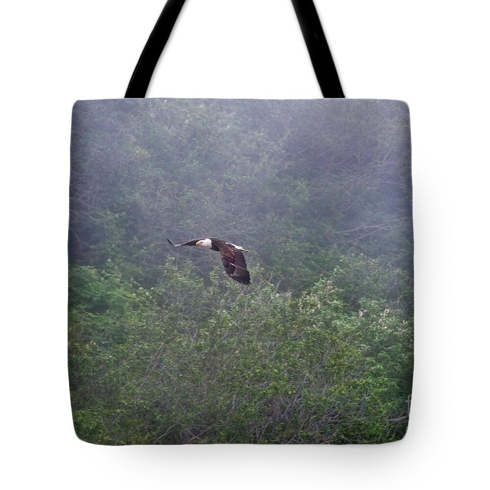 Bald Eagle Tote Bag featuring the photograph In Flight #4 by David Arment