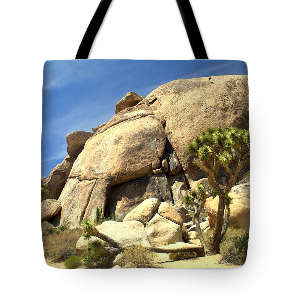 Desert Tote Bag featuring the photograph Joshua Tree #3 by Nathan Abbott
