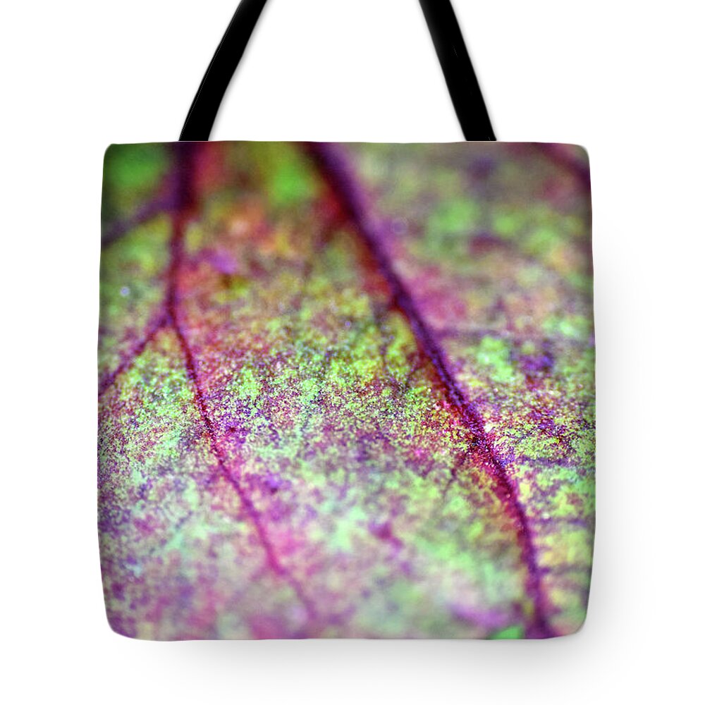 Photograph Tote Bag featuring the photograph Leaf #3 by Larah McElroy