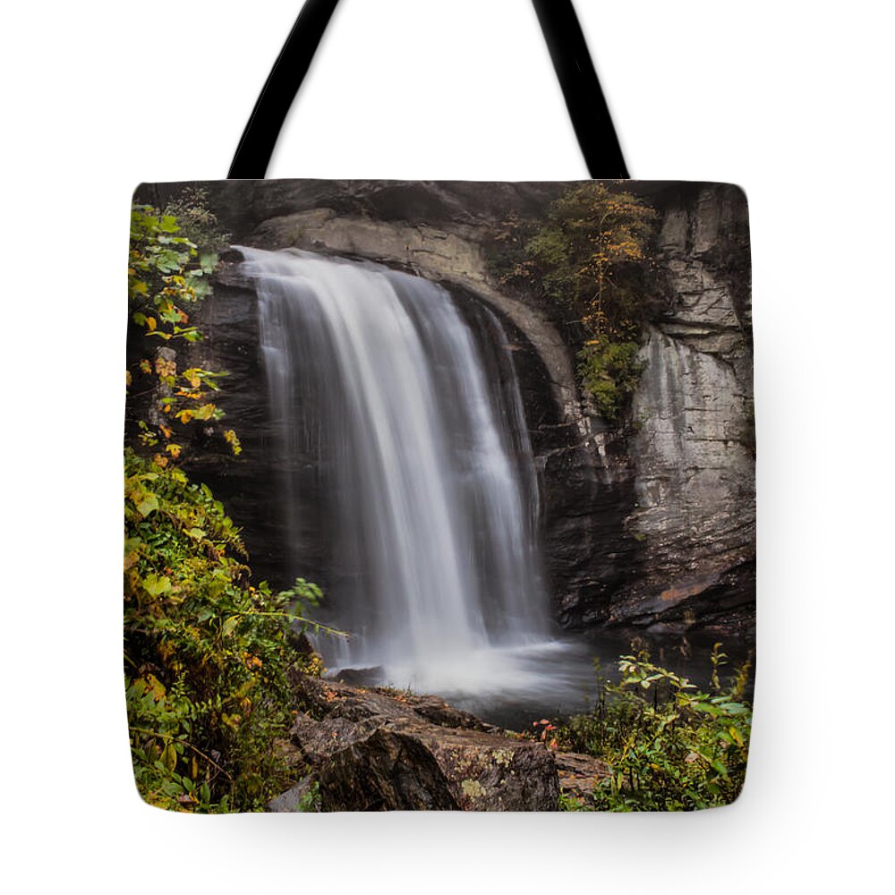Looking Glass Falls Tote Bag featuring the photograph Looking Glass Falls #3 by Lynne Jenkins
