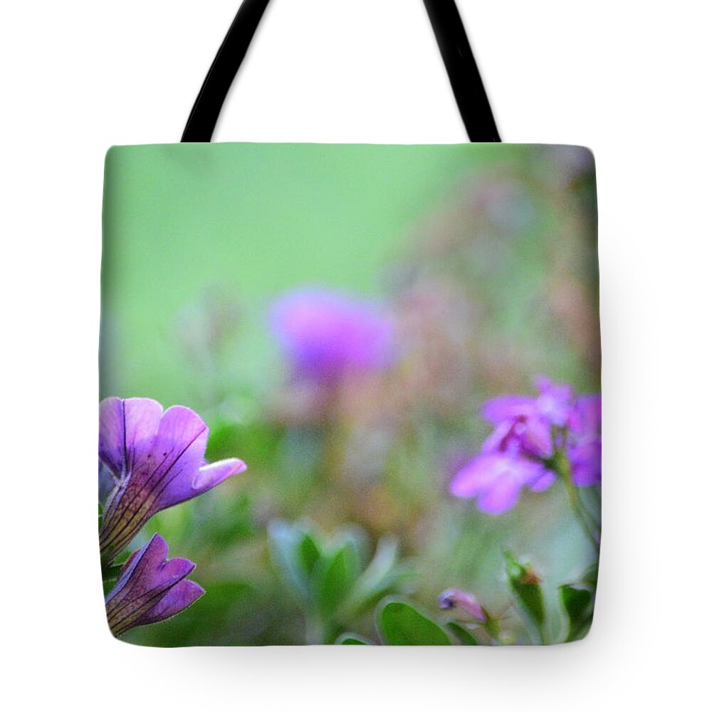 Petunias Tote Bag featuring the photograph Pansies #3 by Bonnie Bruno