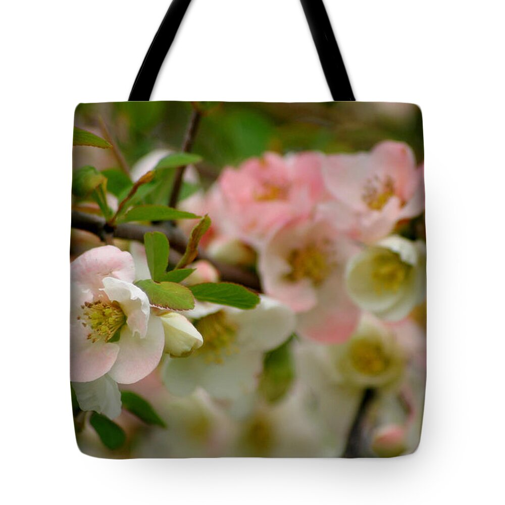 Flowering Quince Tote Bag featuring the photograph Peaches and Cream #3 by Living Color Photography Lorraine Lynch