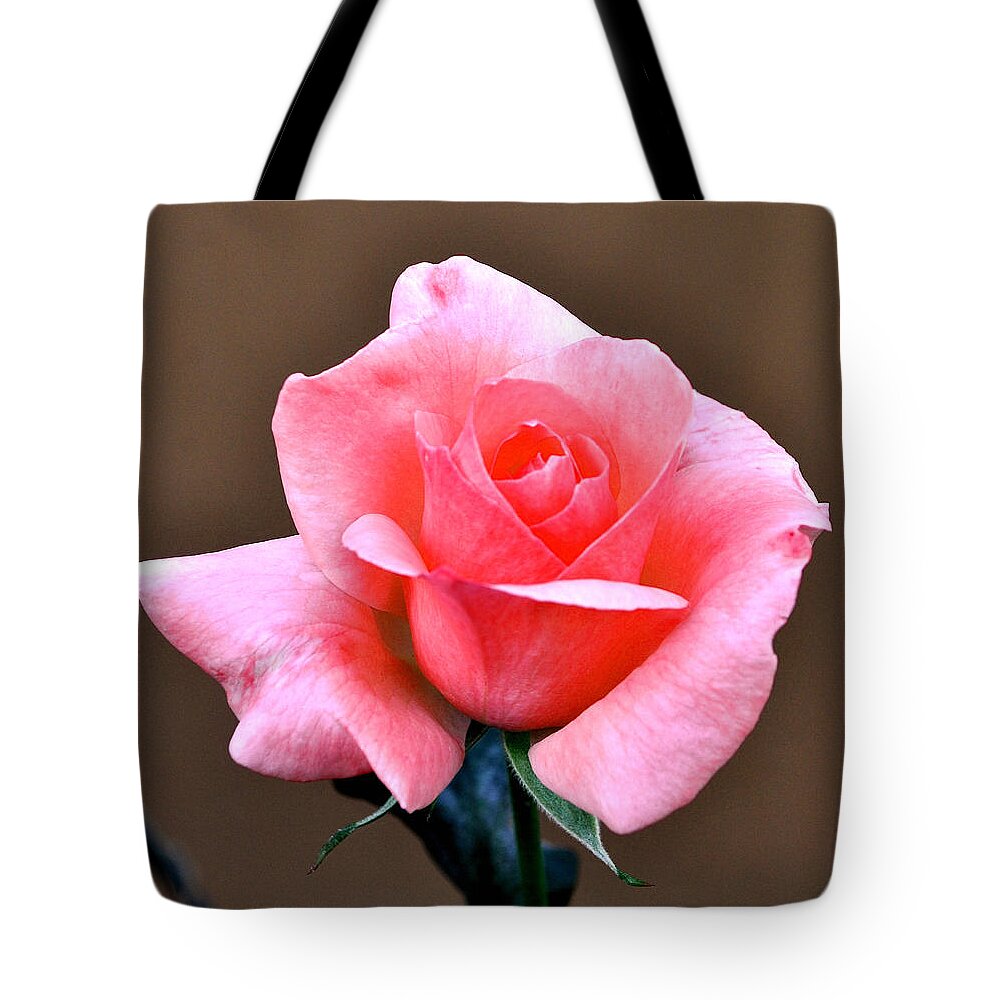 Flower Tote Bag featuring the photograph Pink Rose #3 by Jay Milo