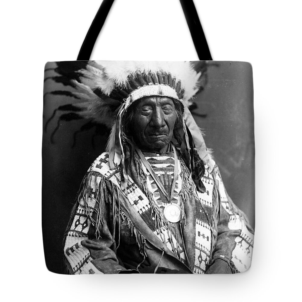 History Tote Bag featuring the photograph Red Cloud, Oglala Lakota Indian Chief #3 by Science Source