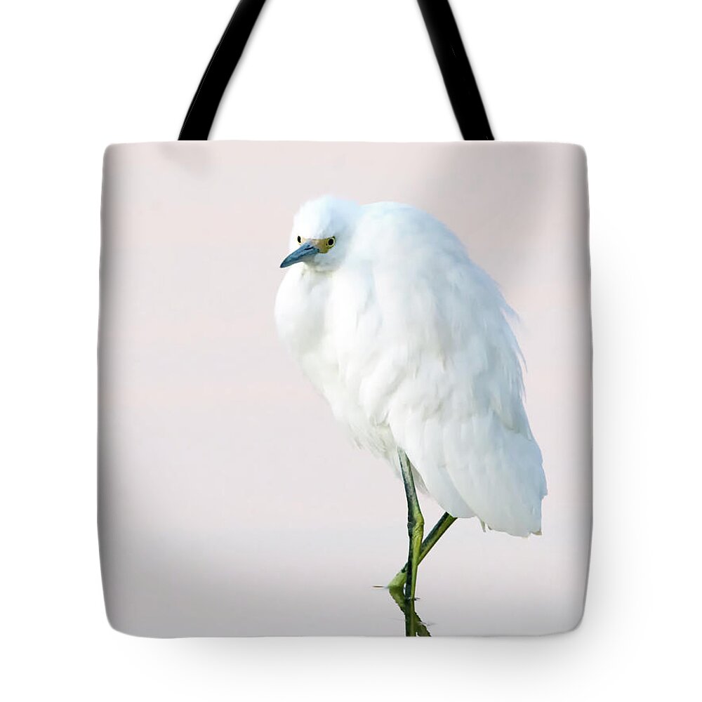 Snowy Tote Bag featuring the photograph Snowy Egret #81 by Tam Ryan