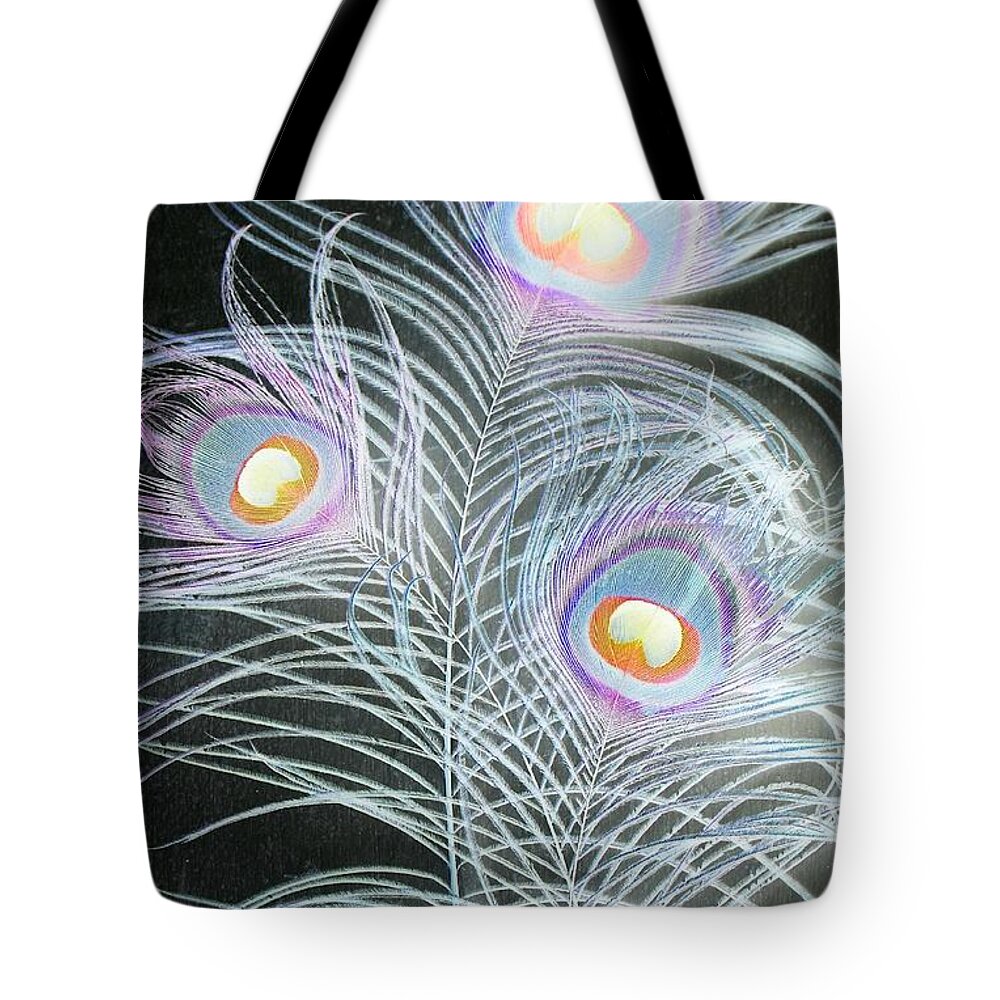 Peacock Tote Bag featuring the photograph 3 by Stefanie Beauregard