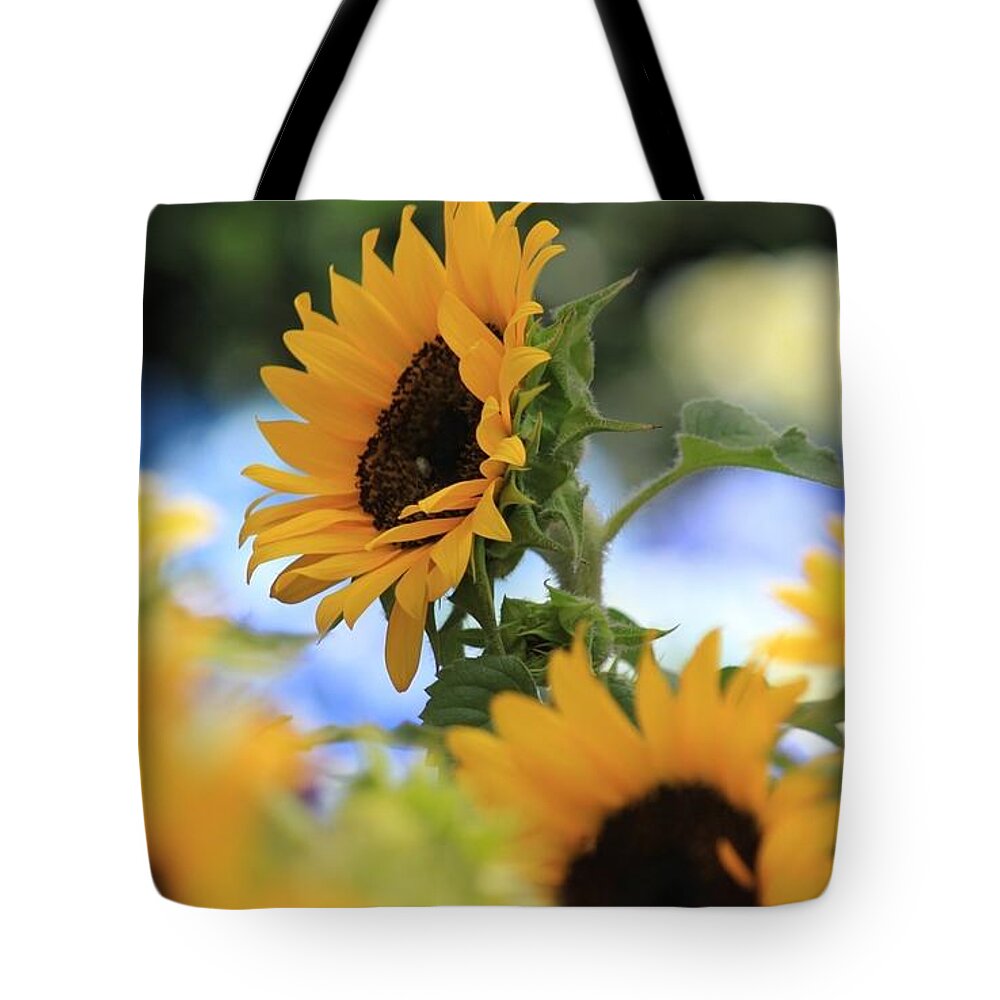 Sunflower Tote Bag featuring the digital art Sunflower #3 by Super Lovely