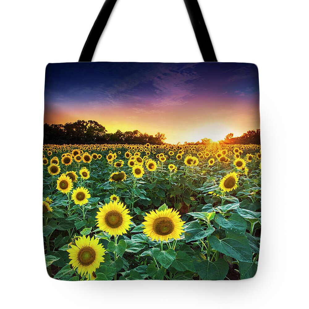 Sunset Tote Bag featuring the photograph 3 Suns by Edward Kreis
