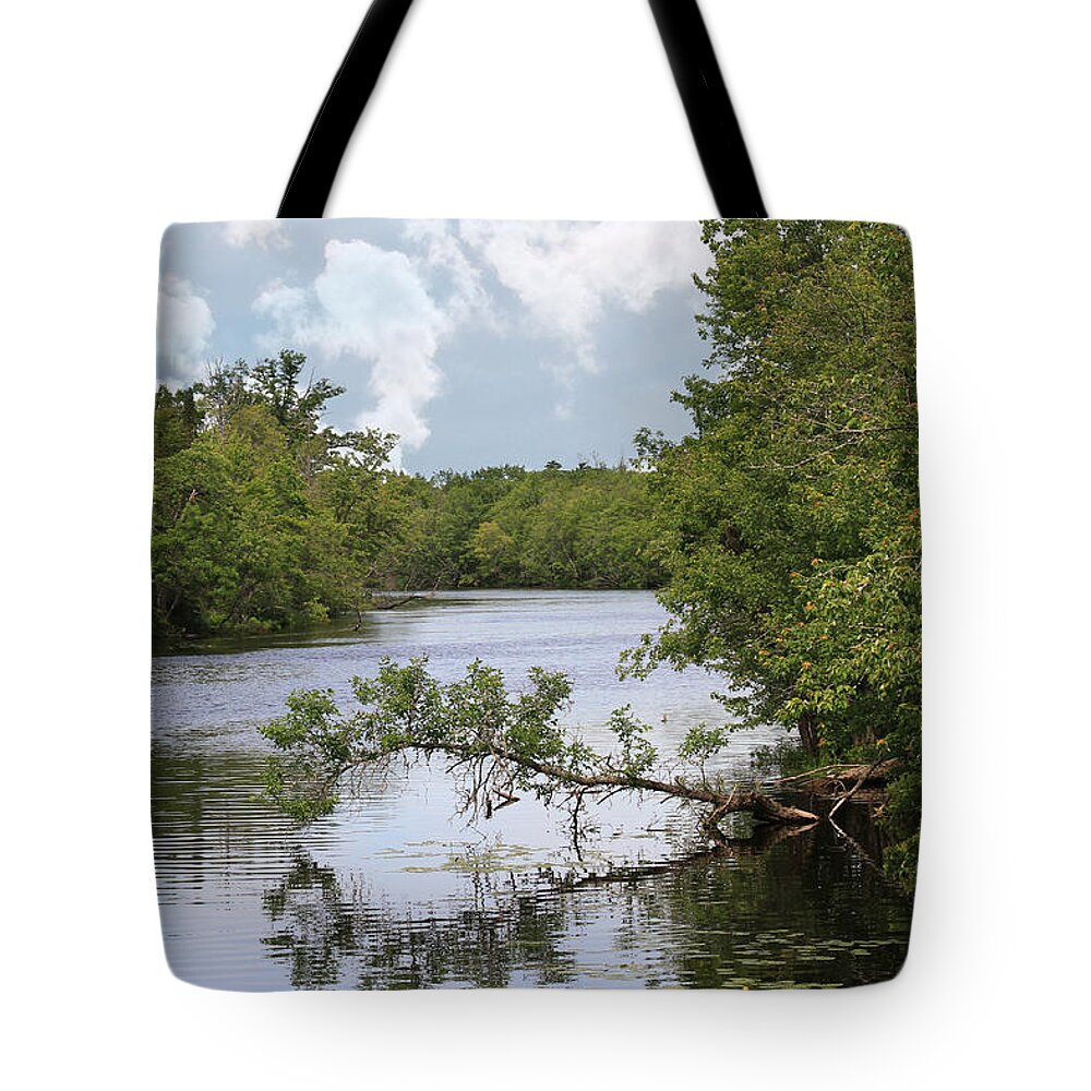 Tahquamenon River Tote Bag featuring the photograph Tahquamenon River #3 by Jackson Pearson