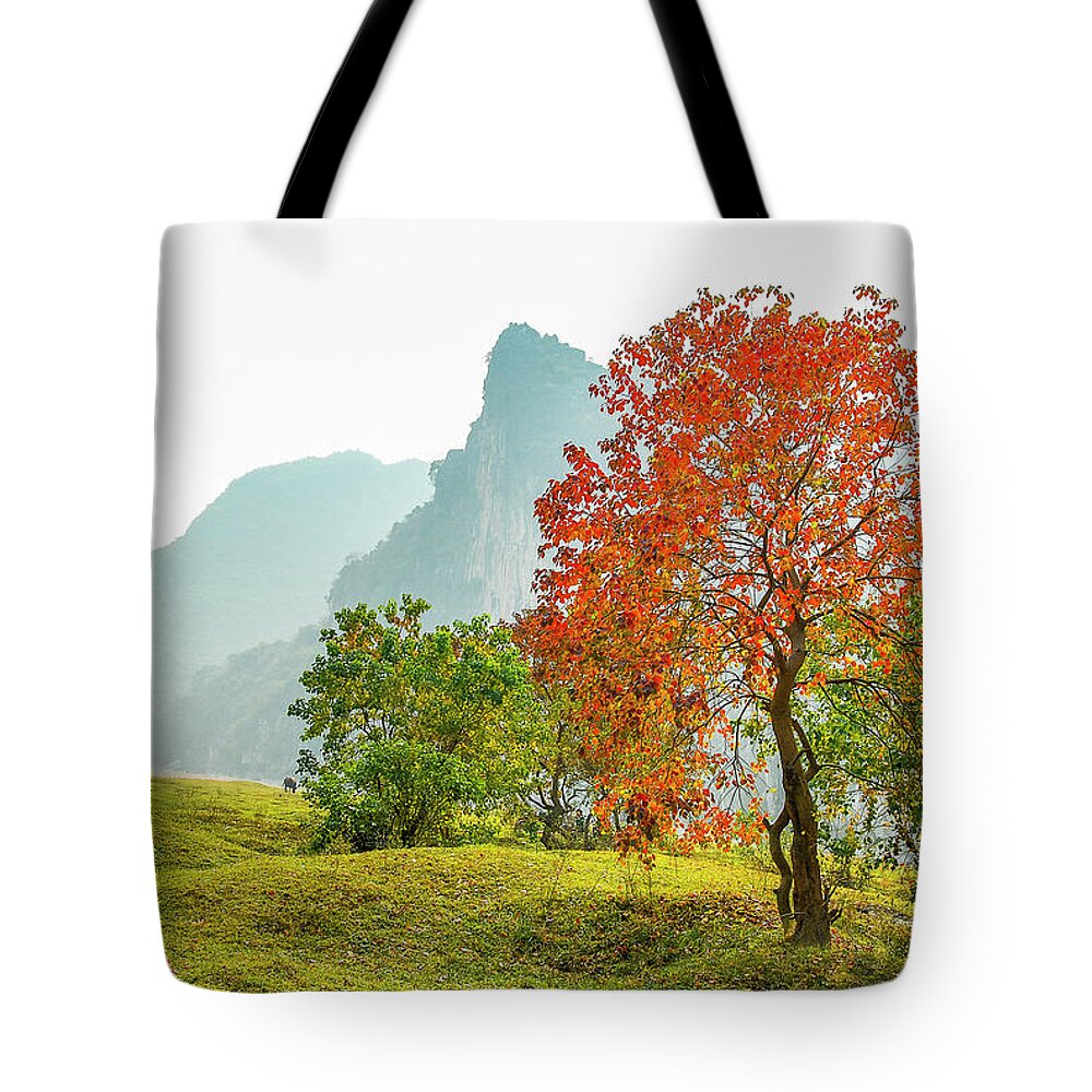 Red Tote Bag featuring the photograph The colorful autumn scenery #3 by Carl Ning