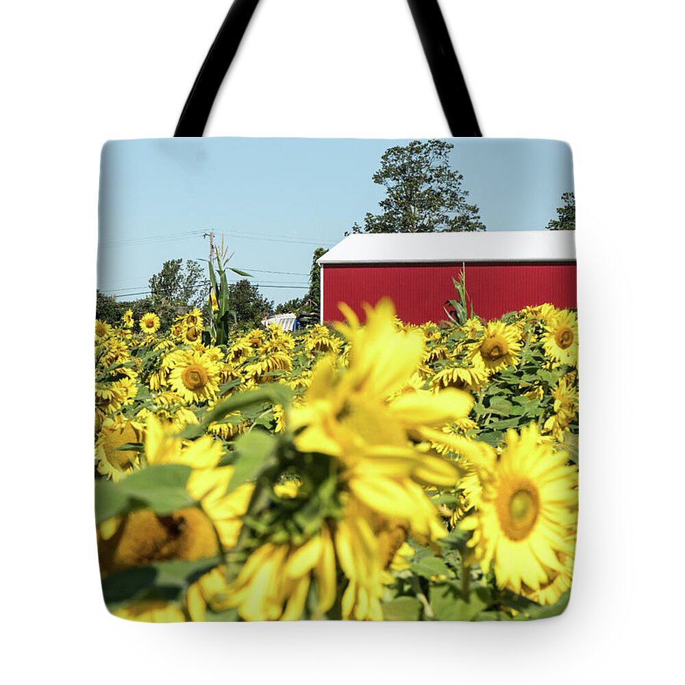 Agriculture Tote Bag featuring the photograph The red Barn #3 by Nick Mares