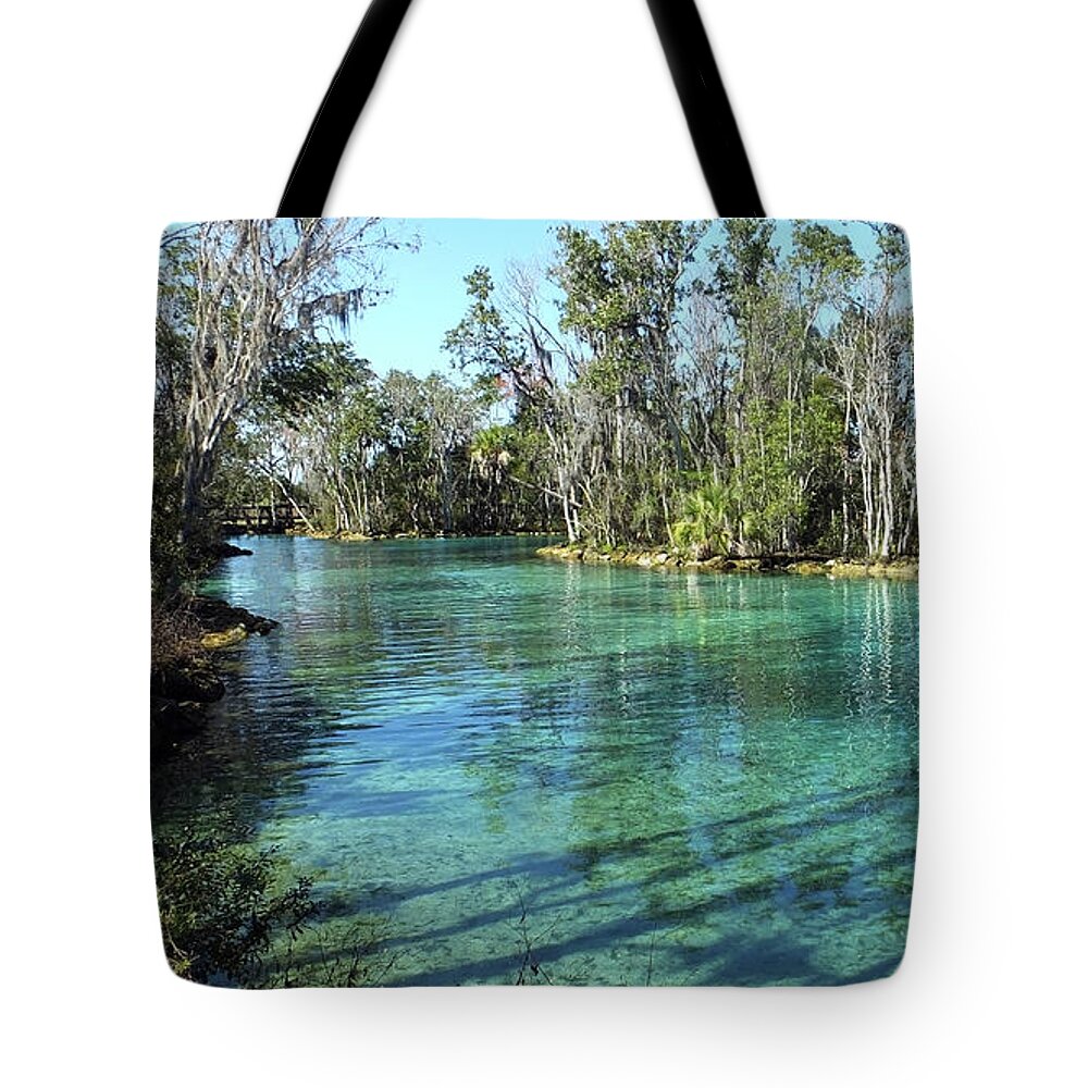 Three Sisters Springs Tote Bag featuring the photograph Western View of Three Sisters Springs by Judy Wanamaker