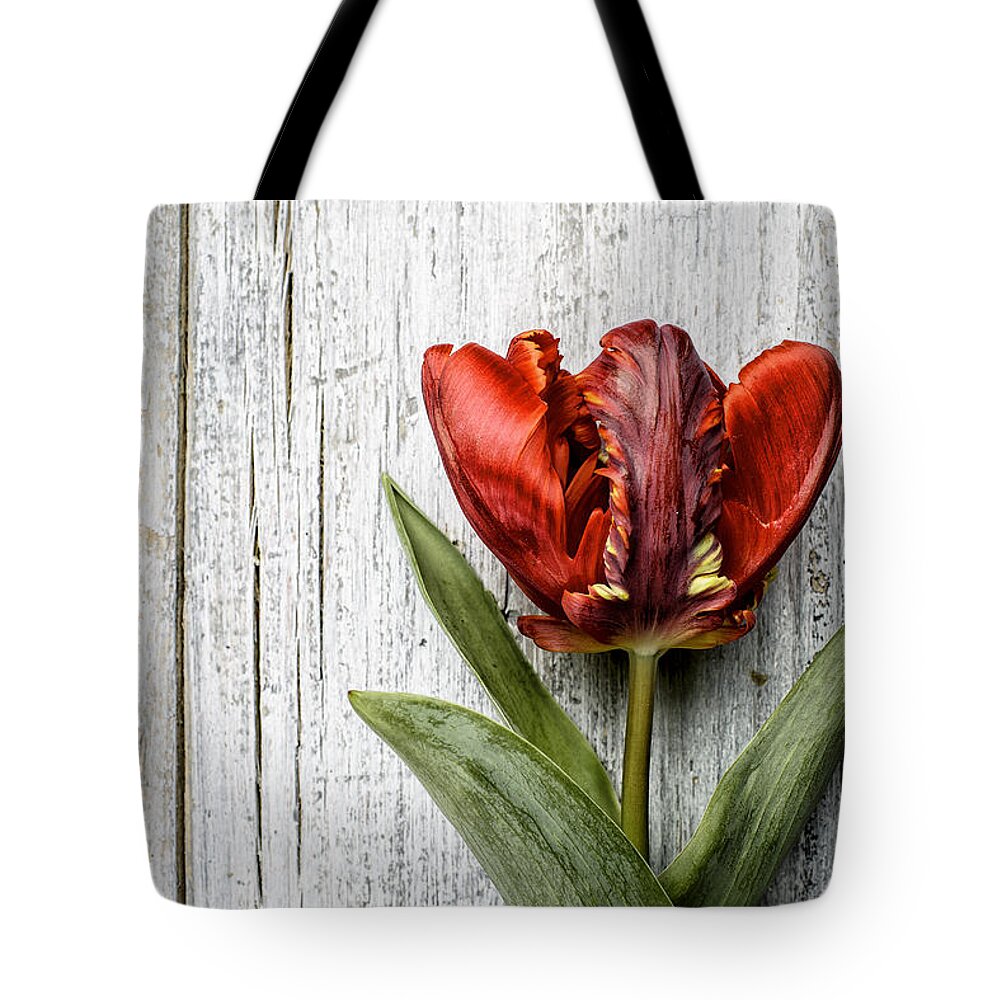 Tulip Tote Bag featuring the photograph Tulip #3 by Nailia Schwarz