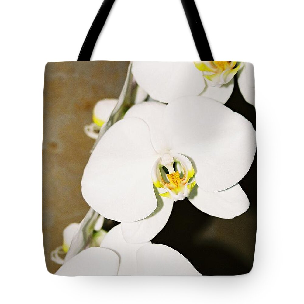 White Orchids Tote Bag featuring the photograph 3 White Orchids by Lauri Novak