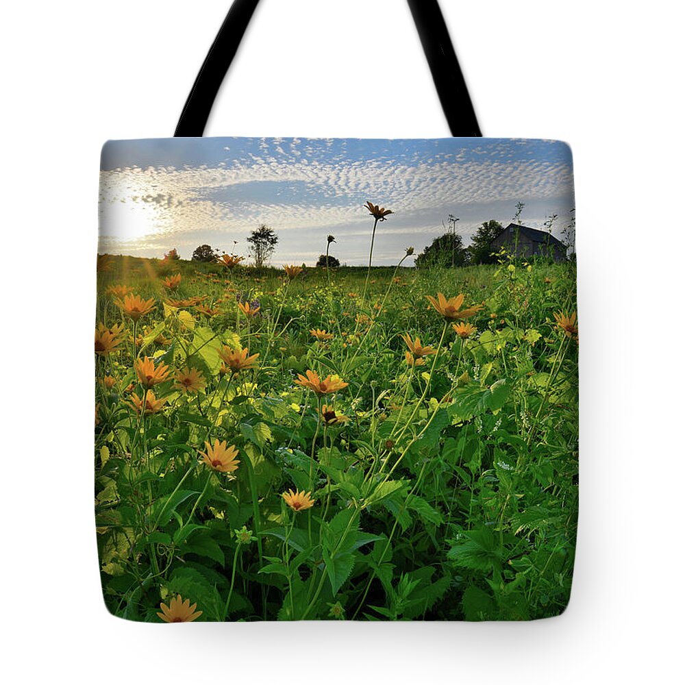 Glacial Park Tote Bag featuring the photograph Wildflowers of Glacial Park #3 by Ray Mathis