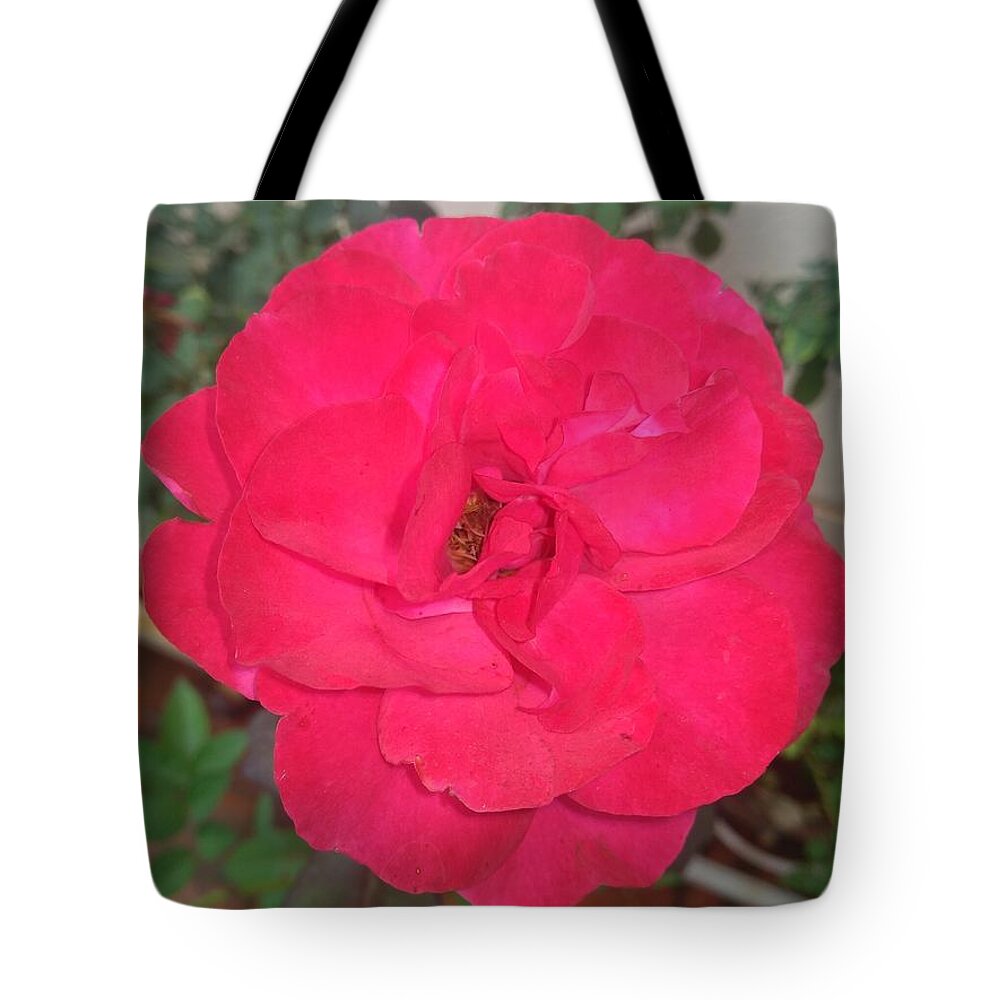  Tote Bag featuring the photograph Rose #8 by Seema Bajaj