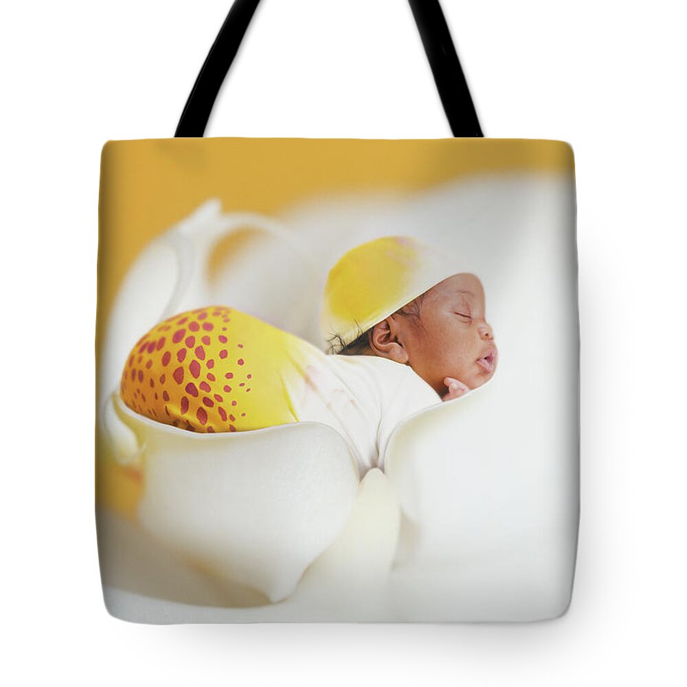 Orchid Tote Bag featuring the photograph Telayiah in a Moth Orchid by Anne Geddes