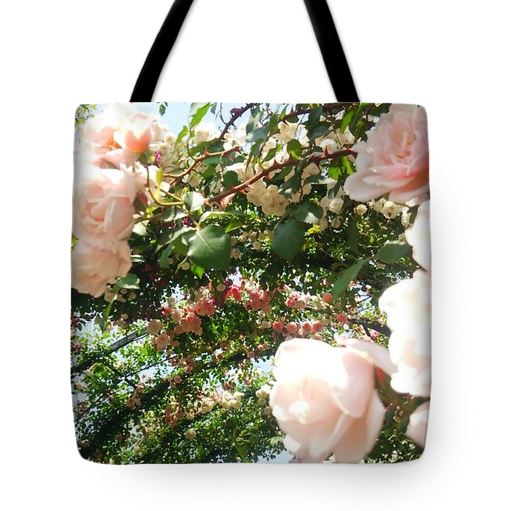 #flower#flowerloversdaily#flowerlover#green#flowerlovers#floral#rosa#pink#rose#petal#plant#blossom#photooftheday#floweroftheday#webstagram#naturestagram#flowerstagram#naturelover#naturelovers#naturehippys#naturehippy#flowers#yokohama#japan#kn#΂#o##l#{ Tote Bag featuring the photograph Rose #32 by Tomoko Takigawa