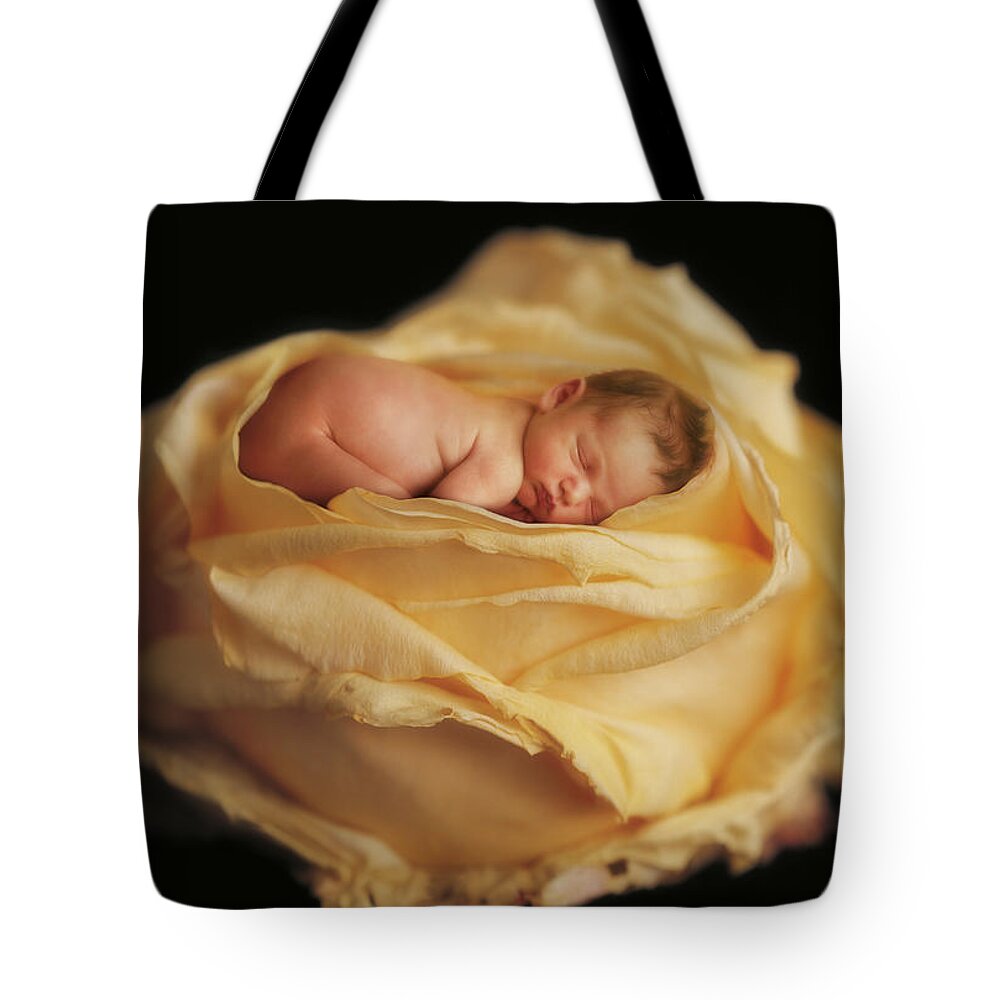 Rose Tote Bag featuring the photograph Garden Rose by Anne Geddes