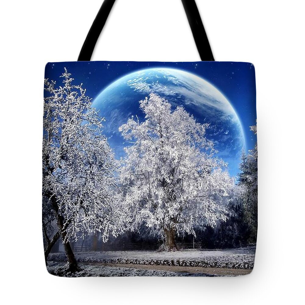 Winter Tote Bag featuring the photograph Winter #35 by Jackie Russo
