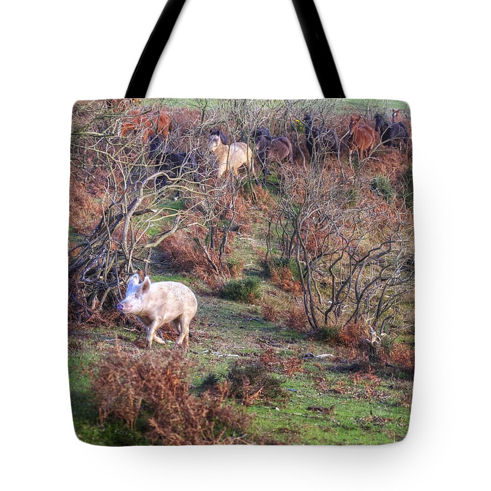 New Forest Tote Bag featuring the photograph New Forest - England #37 by Joana Kruse