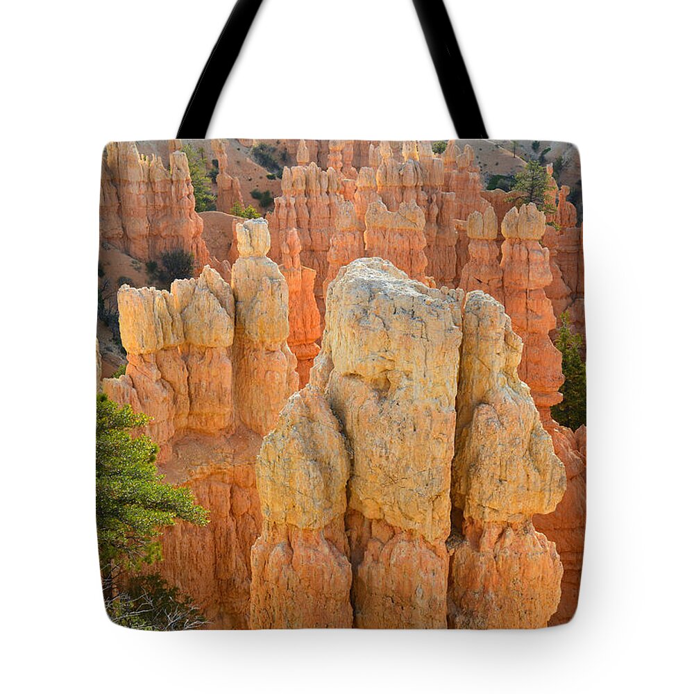 Bryce Canyon National Park Tote Bag featuring the photograph Fairyland Canyon #51 by Ray Mathis