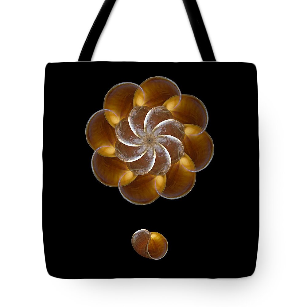 Seashell Tote Bag featuring the photograph 3984 by Peter Holme III