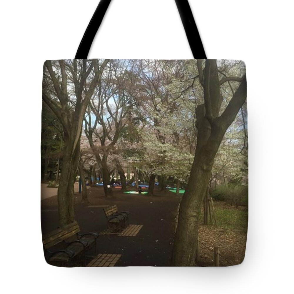 Natural Wonder Tote Bag featuring the photograph Cherry trees in a park photograph -A morning in early spring by Toru Nakayama