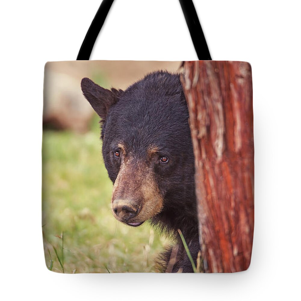 Animal Tote Bag featuring the photograph Black Bear #4 by Brian Cross