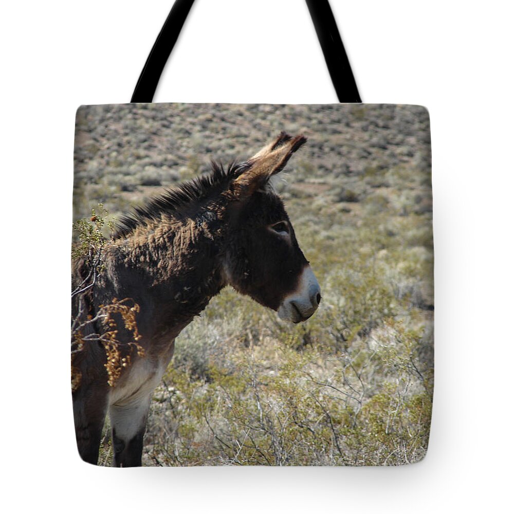 Burro Tote Bag featuring the photograph Brown Burro Profile by Carl Moore